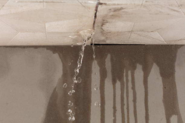 Professional Water Damage Repair technician working in Lincoln Park, MI
